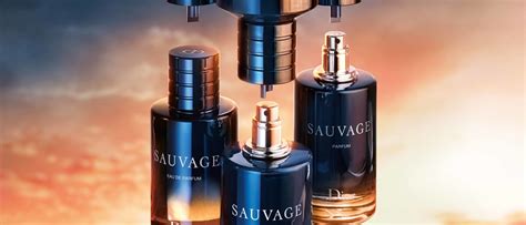 dior sauvage proben kostenlos|Sauvage Parfum: nachfüllbarer zitrischer und holziger Duft .